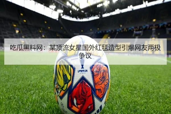 chi-gua-hei-liao-wang-mou-ding-liu-nv-xing-guo-wai-hong-tan-zao-xing-yin-bao-wang-you-liang-ji-zheng-yi-2-404.jpg